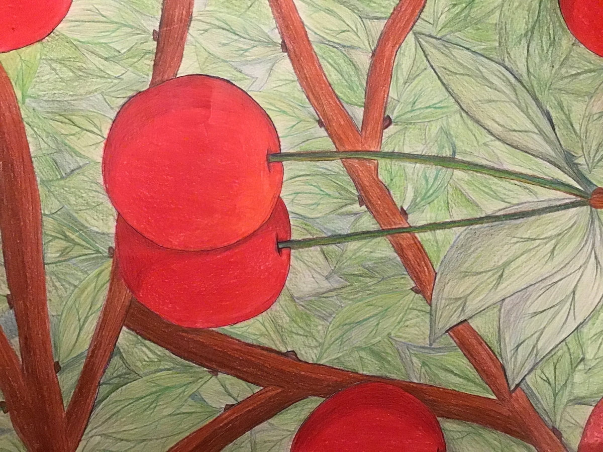 Alisa Maliqaj 6c - Prächtige Kirschen