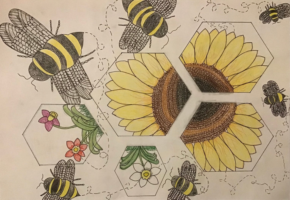 Nina Slunjski 9b - Die Naturschönheit