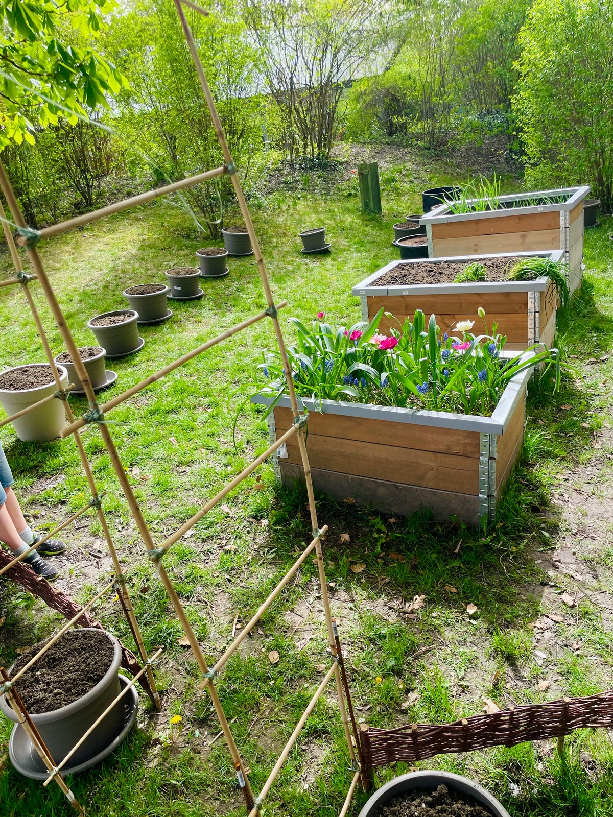 Schulgarten im April