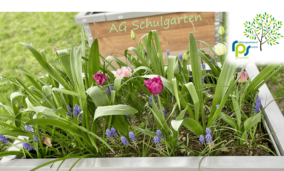 Schulgarten_Logo_erweitert