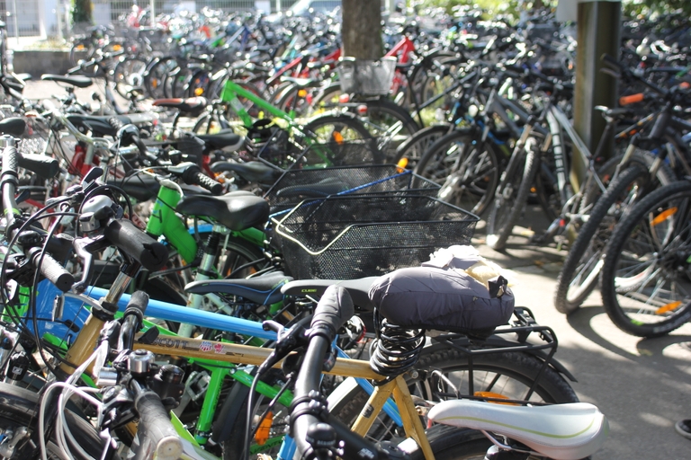 Schüler*innen der Realschule Puchheim engagieren sich für mehr Umweltschutz